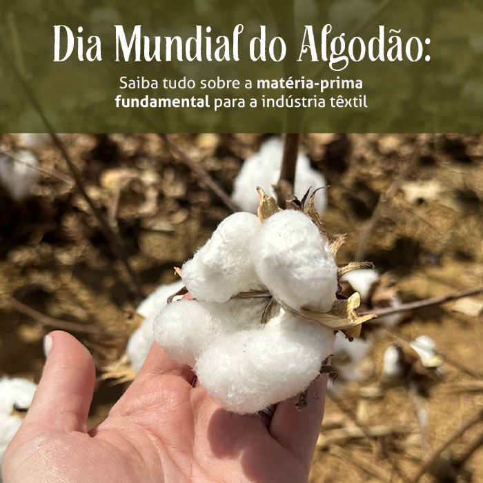 Dia Mundial do Algodão: saiba tudo sobre a matéria-prima fundamental para a indústria têxtil